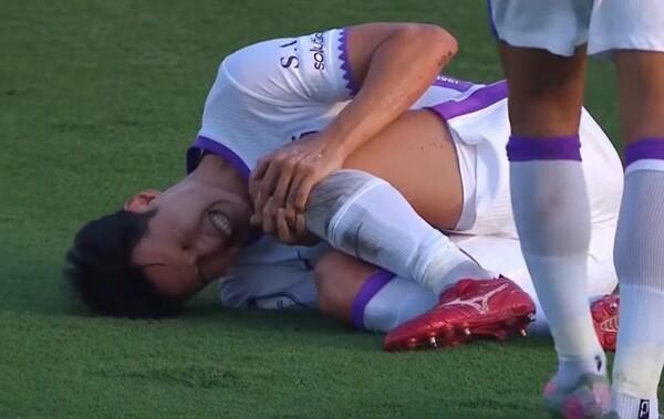 曾表示, bzm, 资深体育物