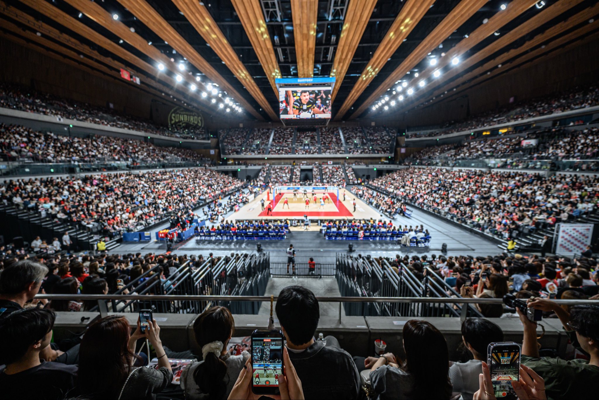 这不是排球 这不是排球